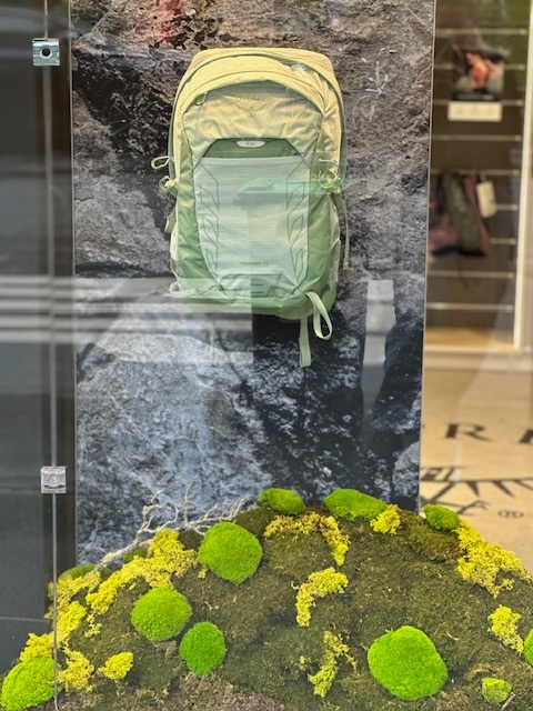 Au Vieux Campeur shop window featuring a hiking backpack and a preserved moss installation